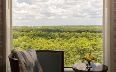 Waldorf Astoria Orlando - An Official Walt Disney World® Hotel