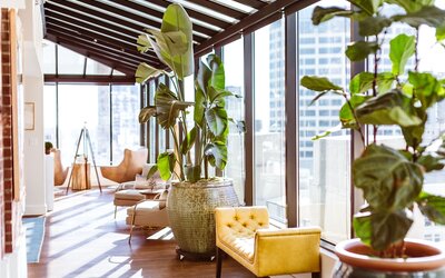 Hotel Theodore Seattle Downtown, Tapestry by Hilton