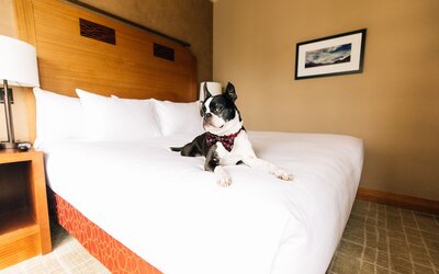 Grand Hyatt Seattle