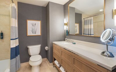 Hilton Orlando