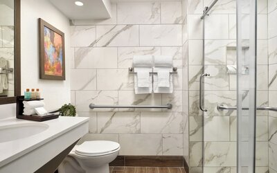 Buena Vista Suites Orlando