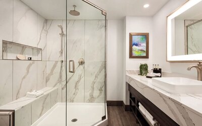 Buena Vista Suites Orlando