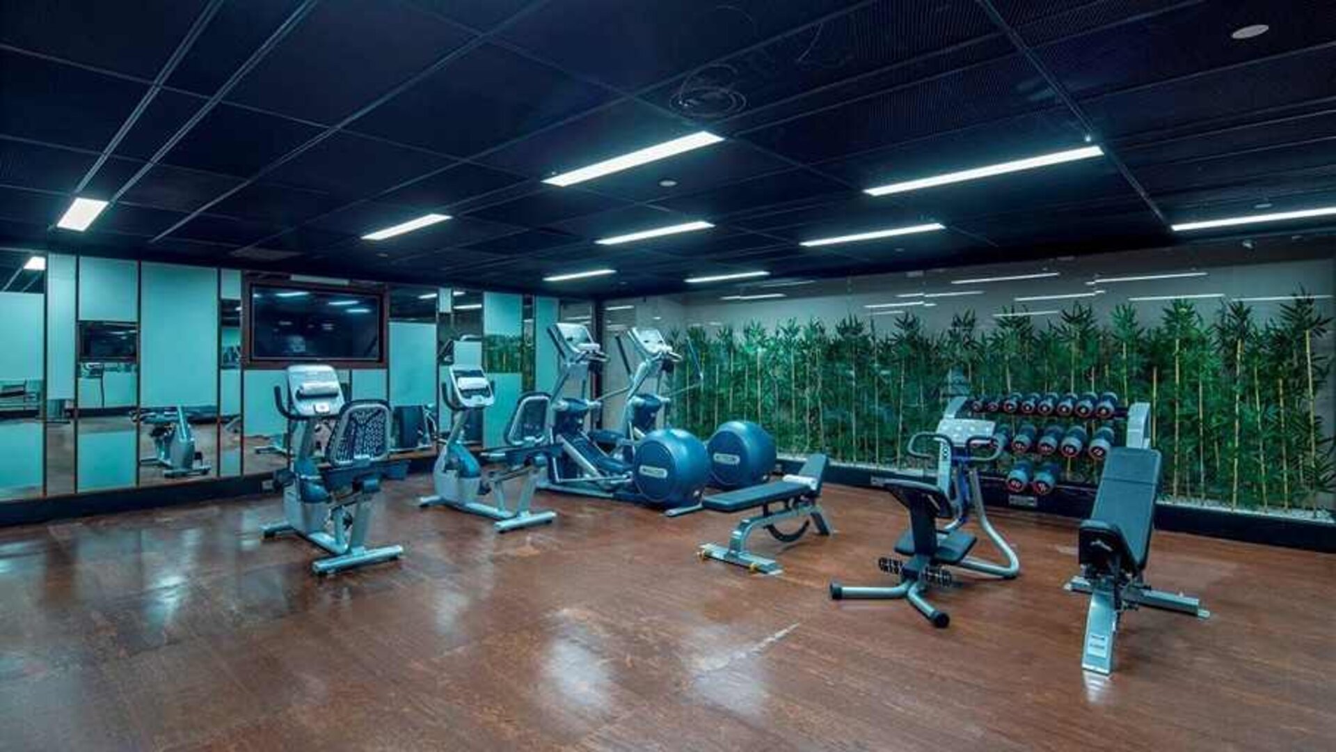 well equipped fitness center at Hilton Garden Inn Istanbul Ataturk Airport.