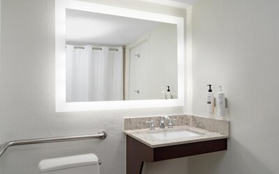 Embassy Suites by Hilton Orlando Lake Buena Vista Resort