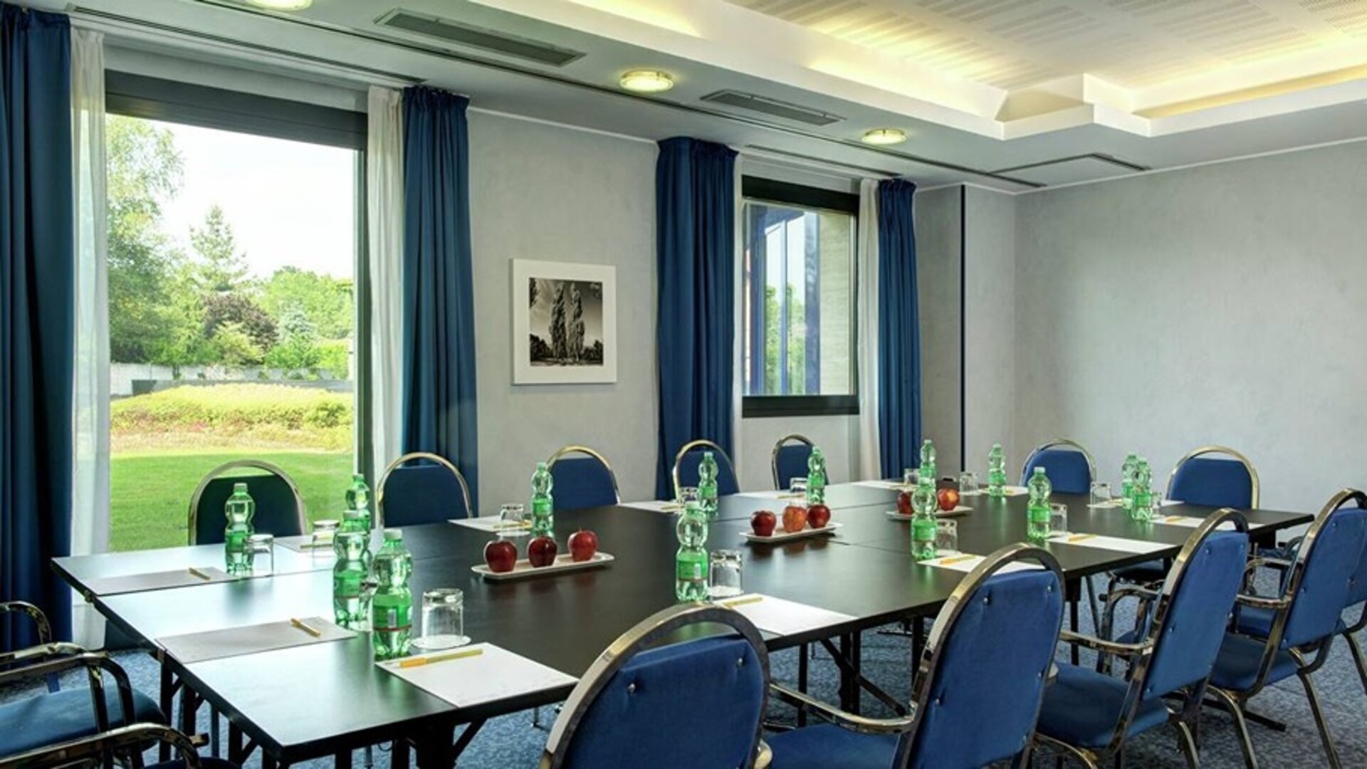 professional meeting room with lots of natural light at Hilton Garden Inn Milan Malpensa.