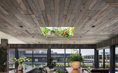 Populus Seattle