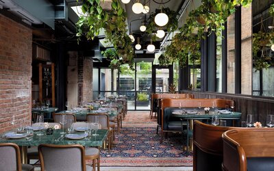 Populus Seattle