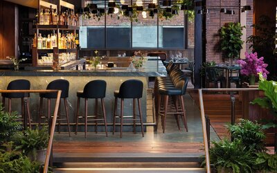 Populus Seattle