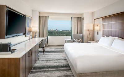 Disney Hollywood Studios View 1 King Bed Guestroom