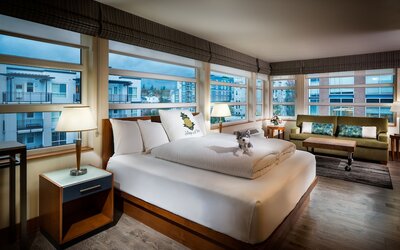 Staypineapple, Watertown Hotel, University District Seattle