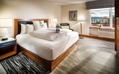 Staypineapple, Watertown Hotel, University District Seattle