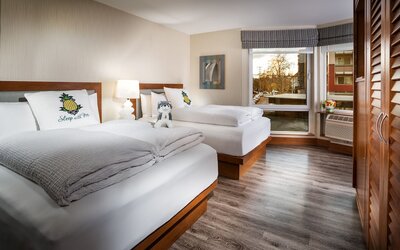Staypineapple, Watertown Hotel, University District Seattle