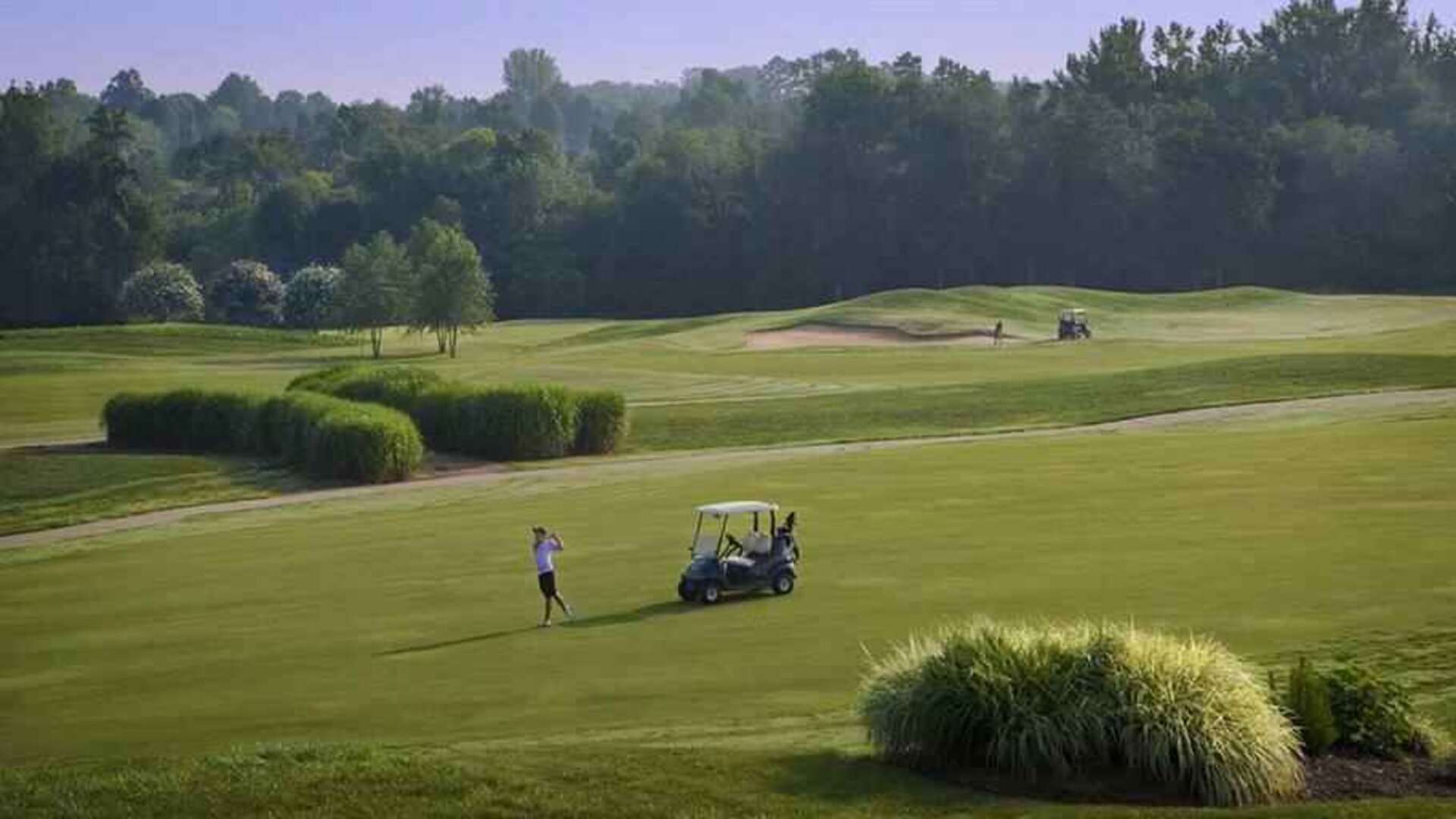 Golf field at the Embassy Suite by Hilton Charlotte-Concord- Golf Resort & Spa.