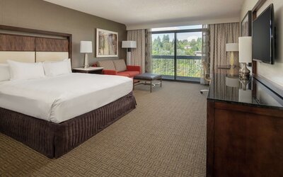 Suite, 1 Bedroom