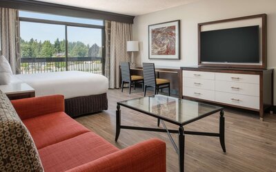 Room, 1 King Bed