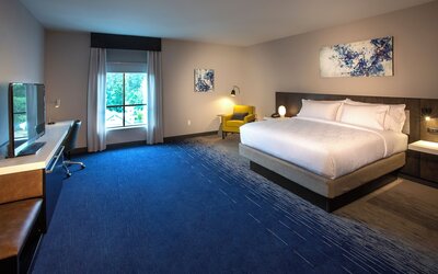 Hilton Garden Inn Redmond Seattle