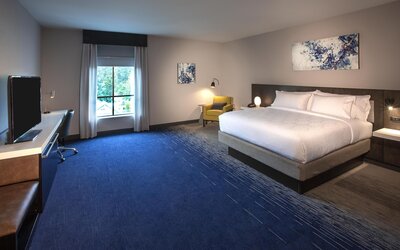 Hilton Garden Inn Redmond Seattle