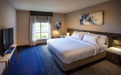 Hilton Garden Inn Redmond Seattle