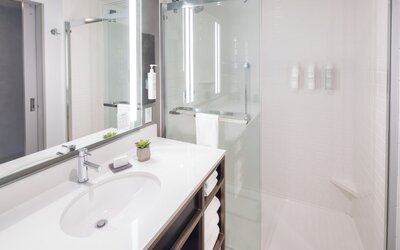 Hilton Garden Inn Redmond Seattle