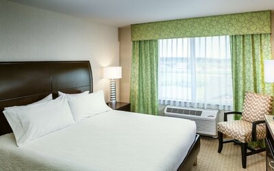 Hilton Garden Inn Seattle/Bothell