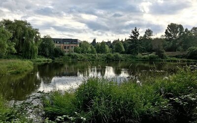 Residence Inn by Marriott Seattle Northeast-Bothell