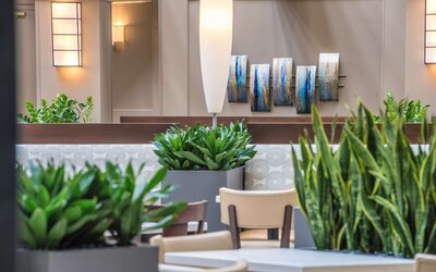 Embassy Suites by Hilton Seattle Tacoma International Airport