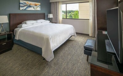 Embassy Suites by Hilton Seattle Tacoma International Airport