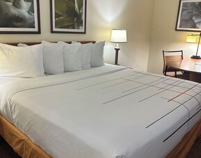 Comfortable guest room featuring a king-size bed, work desk, and modern amenities designed for a restful and productive stay.