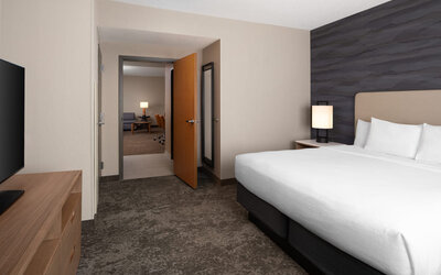 Private king bedroom featuring plush bedding, contemporary furnishings, and a separate suite layout for added comfort and privacy at Embassy Suites By Hilton Charleston Airport Convention Center.