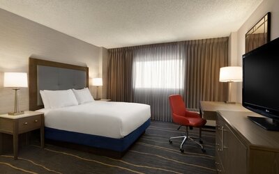One Queen Bed, Non-Smoking, Roll In Shower