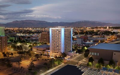 Room, 1 King Bed, Mountain View