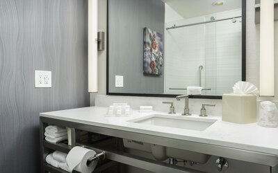 Hilton Garden Inn Phoenix Airport