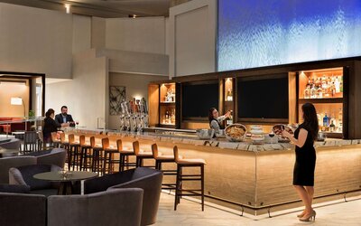 Embassy Suites by Hilton Phoenix Downtown North