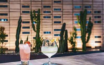 AC Hotel by Marriott Phoenix North Norterra