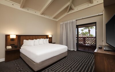 Suite, 1 King Bed