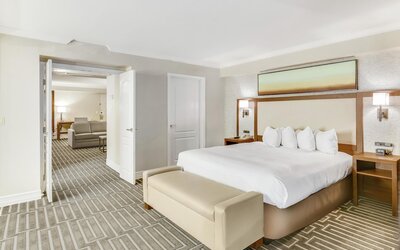 Room, 1 King Bed, Accessible, Bathtub (Mobility & Hearing)