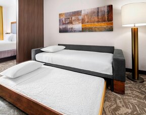 SpringHill Suites Scottsdale North