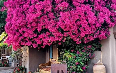 Hermosa Inn