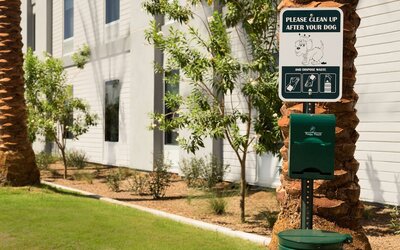 Home2 Suites by Hilton Phoenix Chandler