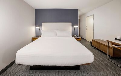 Suite, 1 King Bed with Sofa bed (One Bedroom)