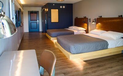 Room, 1 King Bed