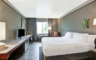 Hilton Garden Inn Phoenix/Tempe ASU Area