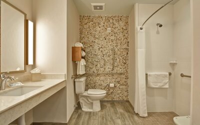 Hilton Garden Inn Phoenix/Tempe ASU Area