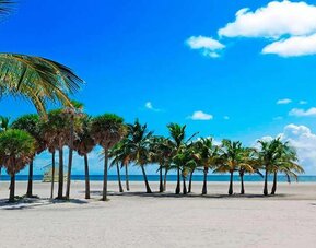 Beach nearby Winter Haven, Autograph Collection.