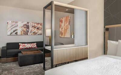 SpringHill Suites by Marriott Phoenix West/Avondale