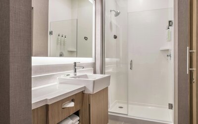 SpringHill Suites by Marriott Phoenix West/Avondale