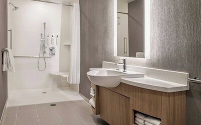 SpringHill Suites by Marriott Phoenix West/Avondale