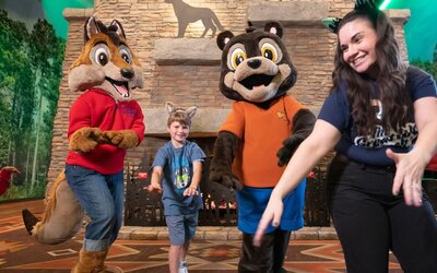 Great Wolf Lodge Arizona