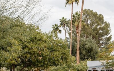 Andaz Scottsdale Resort & Bungalows