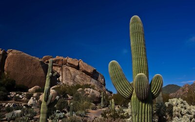 Boulders Resort & Spa Scottsdale, Curio Collection by Hilton